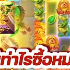 biowin99 slot